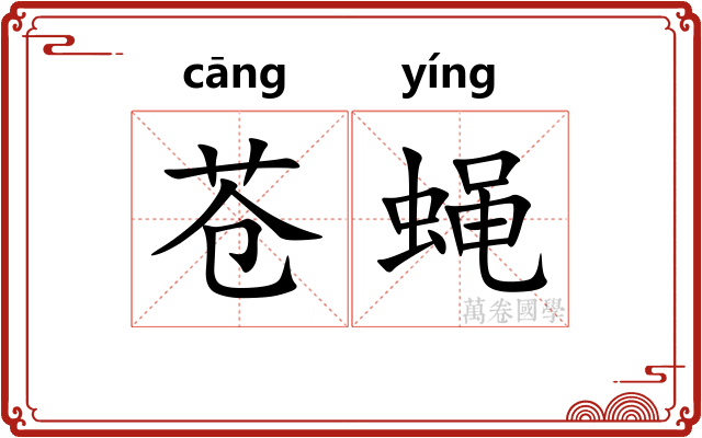苍蝇