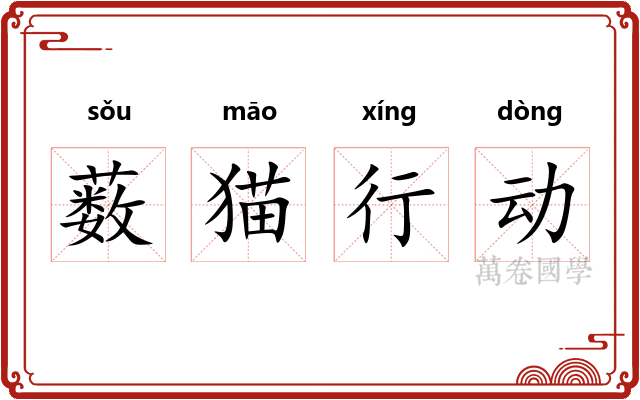 薮猫行动