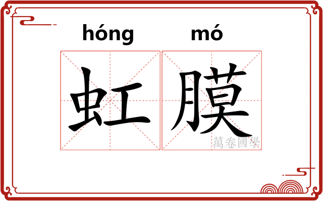 虹膜