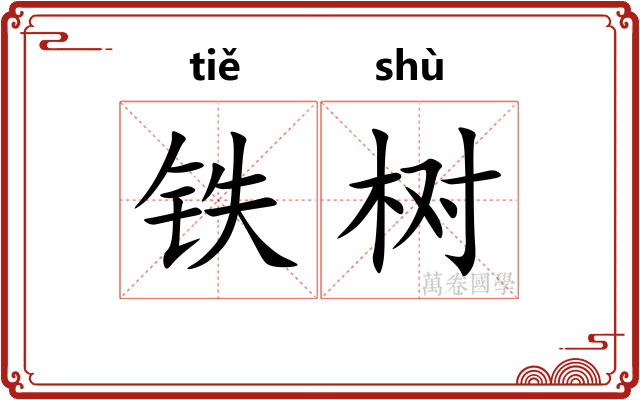 铁树