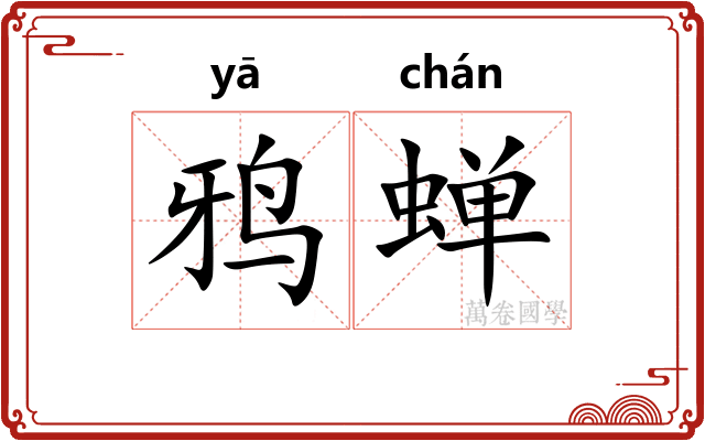 鸦蝉