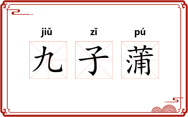 九子蒲