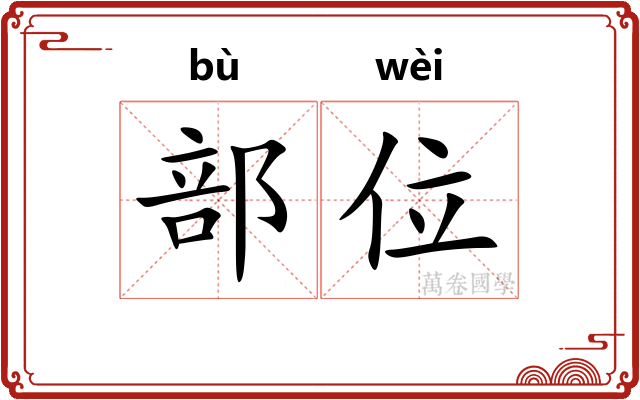 部位