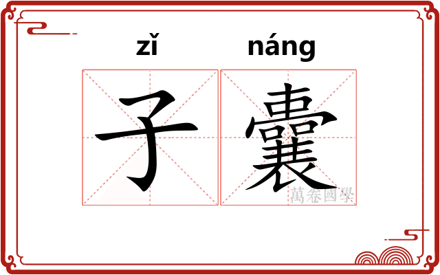 子囊