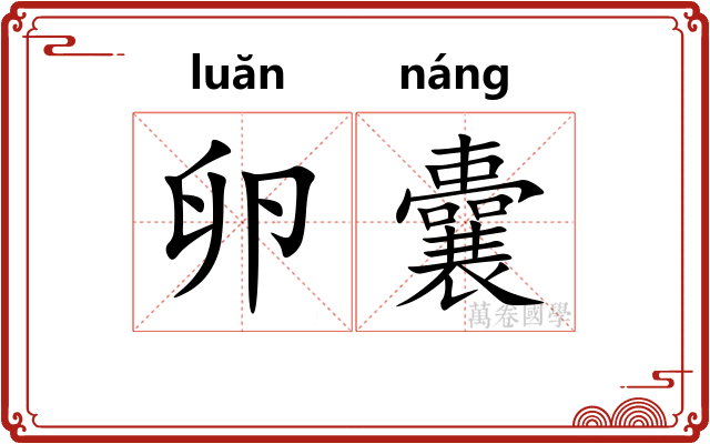 卵囊