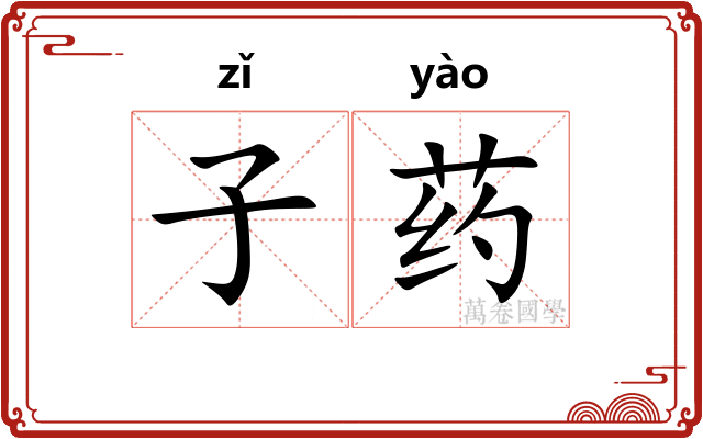 子药