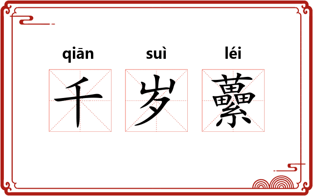 千岁虆