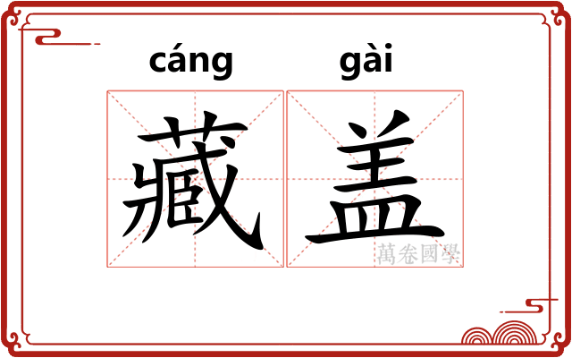 藏盖