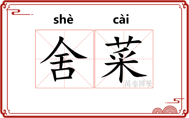 舍菜
