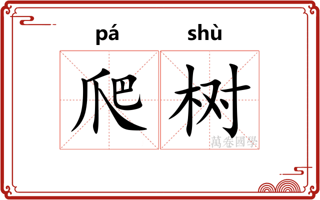 爬树