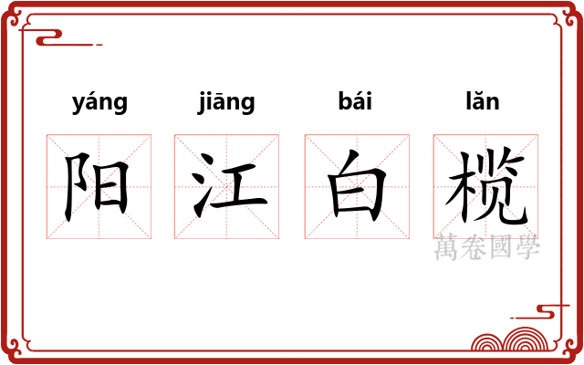 阳江白榄