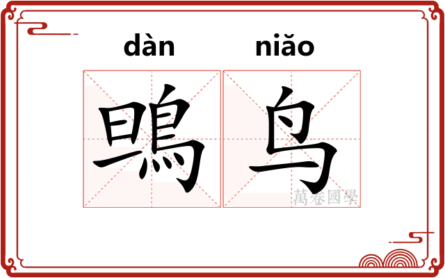鴠鸟