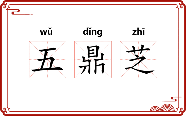 五鼎芝