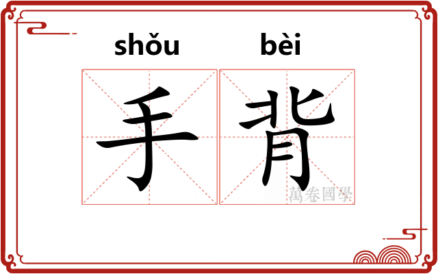 手背 手背