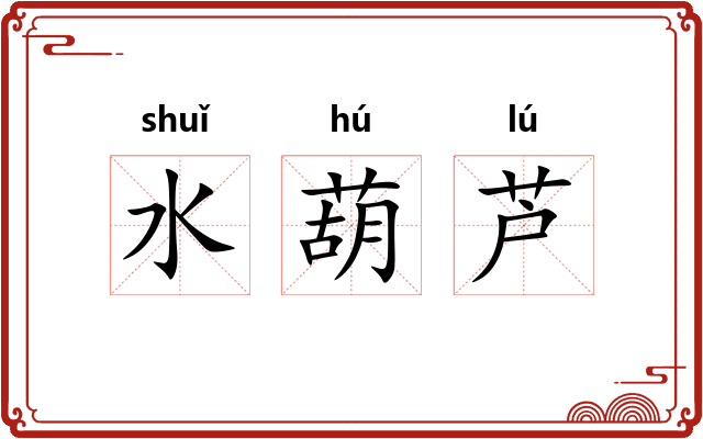 水葫芦