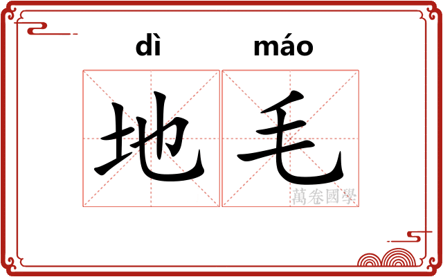 地毛