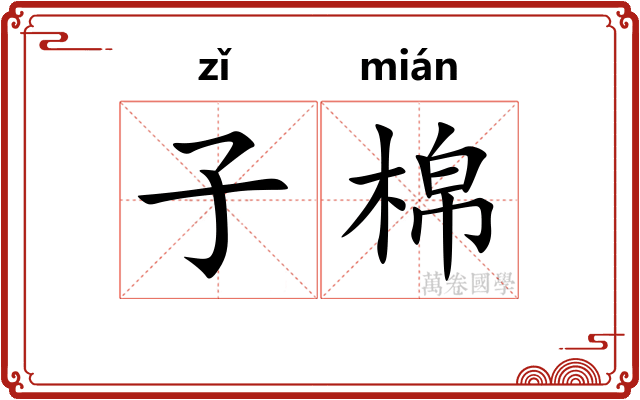 子棉