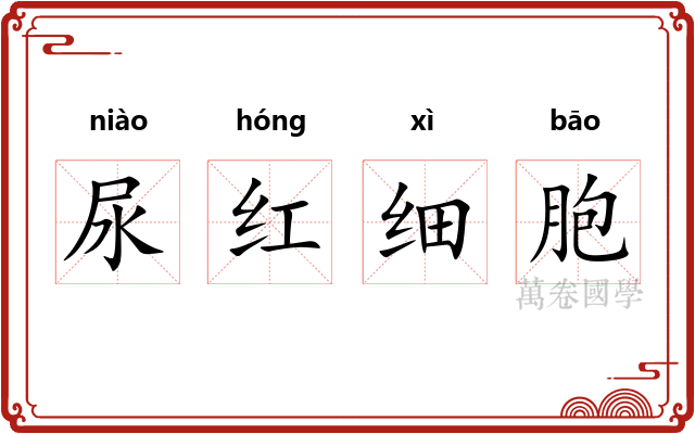 尿红细胞 尿红细胞