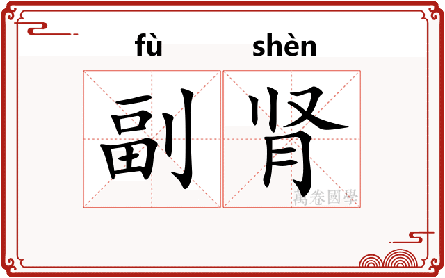 副肾