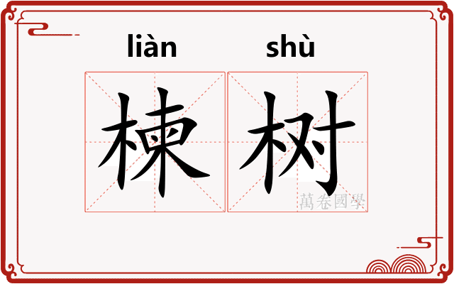 楝树