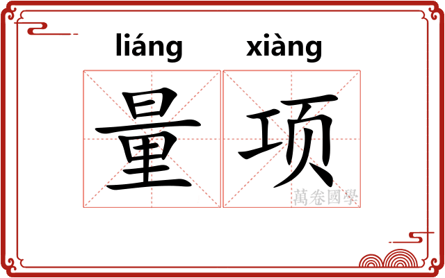 量项