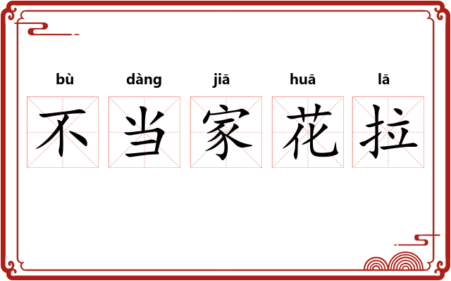 不当家花拉