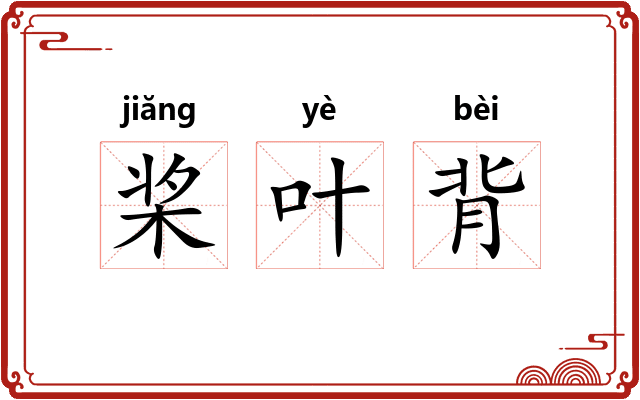 桨叶背