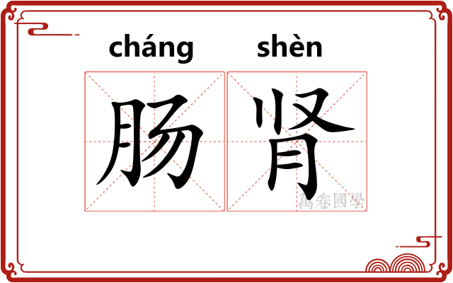 肠肾