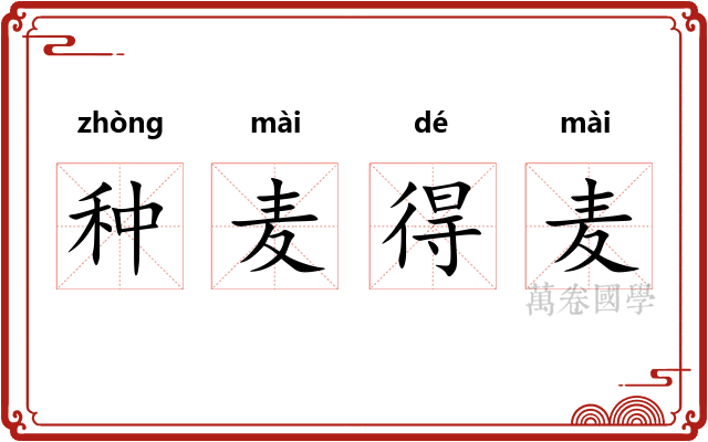 种麦得麦 种麦得麦