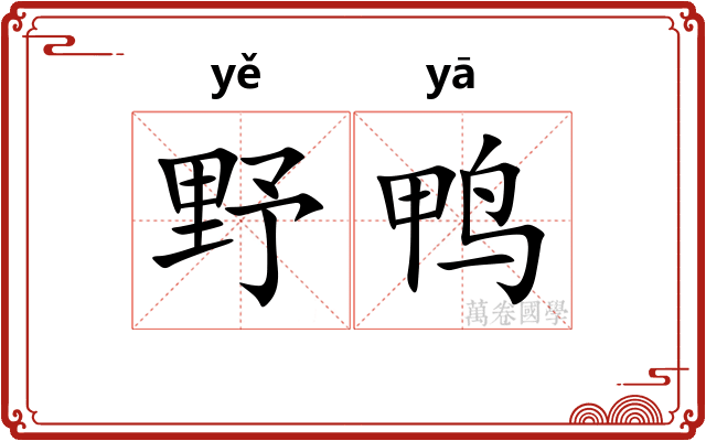 野鸭