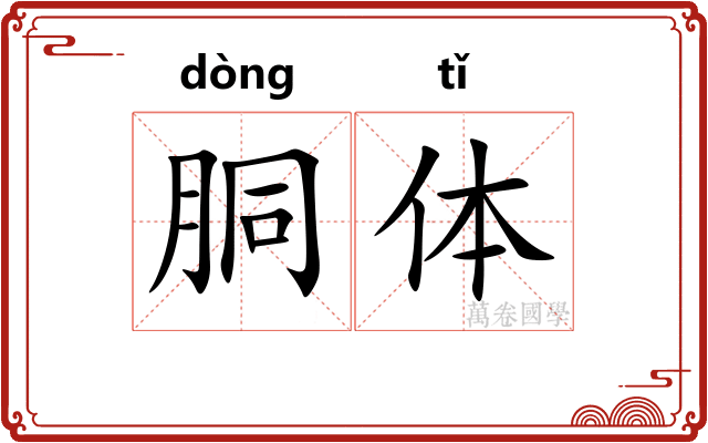 胴体 胴体