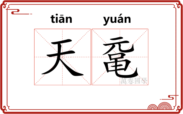 天鼋 天鼋