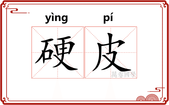 硬皮 硬皮
