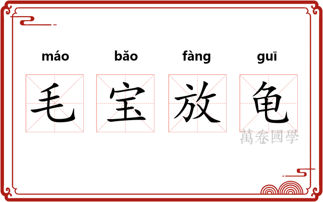 毛宝放龟
