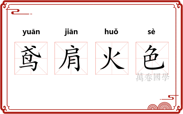 鸢肩火色