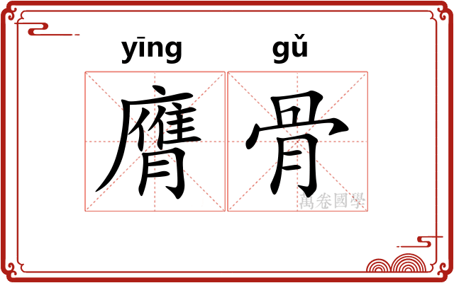 膺骨