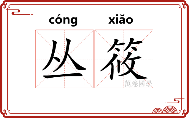 丛筱