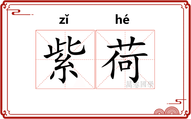 紫荷