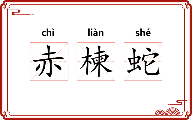 赤楝蛇