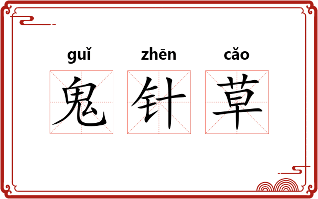 鬼针草