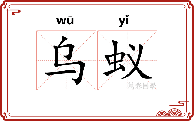 乌蚁