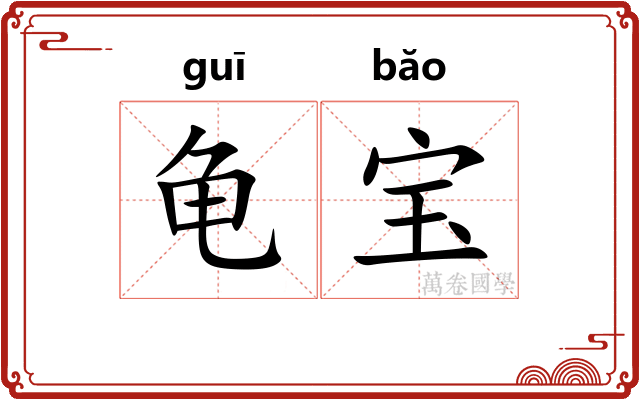 龟宝