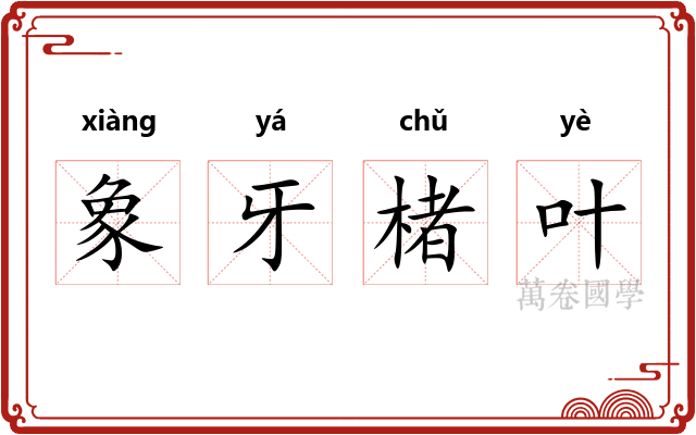 象牙楮叶