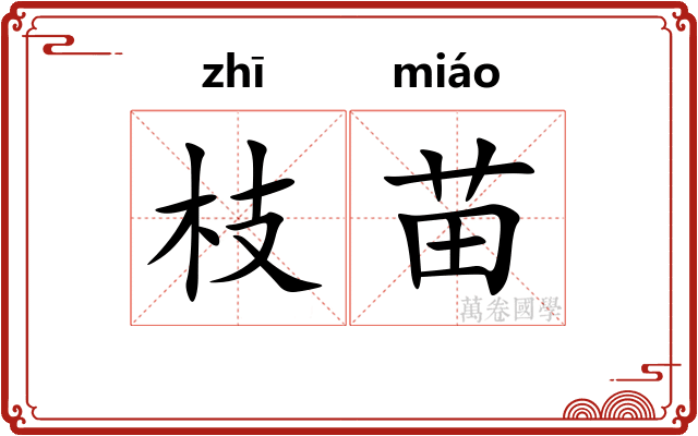 枝苗 枝苗