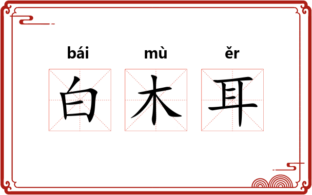 白木耳