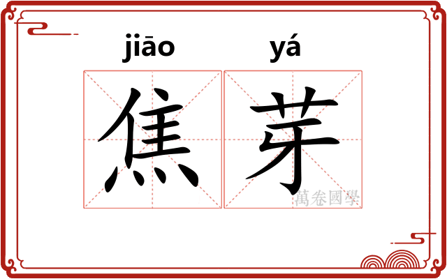 焦芽