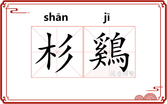 杉鷄
