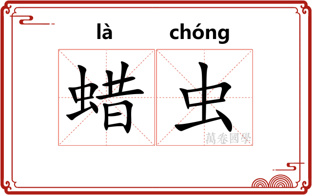 蜡虫