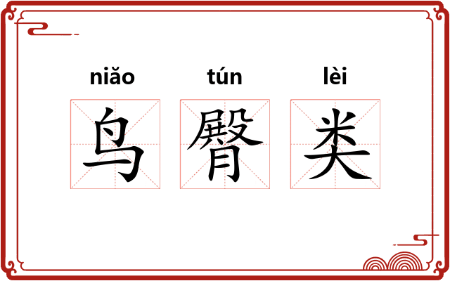 鸟臀类