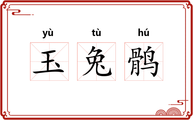 玉兔鹘